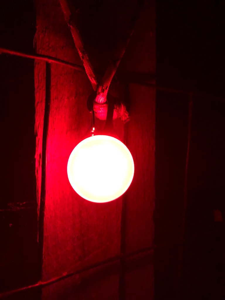 Red LED light